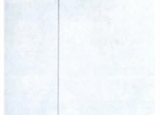 直径6mm的尼龙绳能吊起质量为2t的汽车