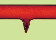 元素图解：氖(Ne)