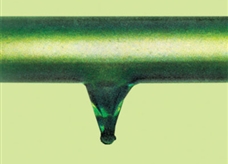 元素图解:氙(Xe)