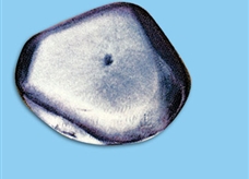 元素图解60：钕（Nd）