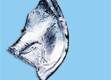 元素图解66：镝(Dy)