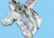 元素图解72:铪(Hf)