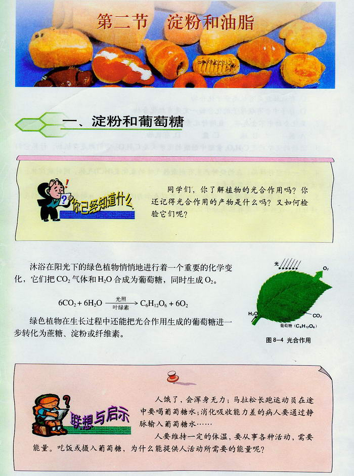 第八章第二节 淀粉和油脂