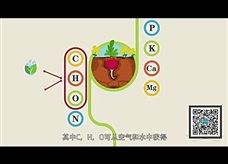 【化学大师】化学肥料——英雄的十二任务（教学视频素材）