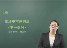【在线学化学】人教版初中化学九年级下册《课题11.1 生活中常见的盐(第一课时)》教学视频