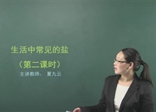【在线学化学】人教版初中化学九年级下册《课题11.1 生活中常见的盐(第二课时)》教学视频