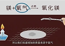 【化学大师】质量守恒定律——人类消失后的世界（教学视频素材）