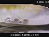 【化学大师】碳酸钠碳酸氢钠碳酸钙——沧海月明里的珍珠（教学视频素材）
