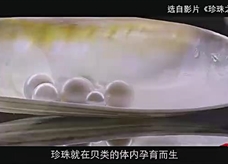 【化学大师】碳酸钠碳酸氢钠碳酸钙——沧海月明里的珍珠（教学视频素材）