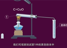 【化学大师】碳——生与死的元素（教学视频素材）