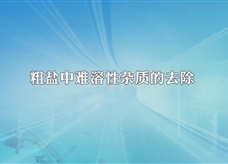 人教版九年级 化学下册《粗盐中难溶性杂质的去除》实验演示微课视频