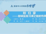 国家中小学网络云平台在线教学：人教版九年级化学《酸碱盐复习（第1课时）》（姚威）