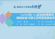 国家中小学网络云平台在线教学:人教版九年级化学《酸碱盐复习(第2课时)》(姚威)