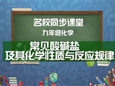【名校同步课堂】河南省实验中学九年级化学下册《第十、十一单元复习 常见酸碱盐及其化学性质与反应规律》线上授课视频(人教版，王彦鹏）