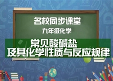 【名校同步课堂】河南省实验中学九年级化学下册《第十、十一单元复习 常见酸碱盐及其化学性质与反应规律》线上授课视频(人教版,王彦鹏)