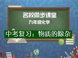 【名校同步课堂】河南省实验中学九年级化学下册《中考复习：物质的除杂》线上授课视频(人教版，王彦鹏）