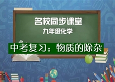 【名校同步课堂】河南省实验中学九年级化学下册《中考复习:物质的除杂》线上授课视频(人教版,王彦鹏)