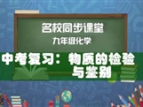 【名校同步课堂】河南省实验中学九年级化学下册《中考复习:物质的检验与鉴别》线上授课视频(人教版,王国英)