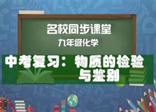 【名校同步课堂】河南省实验中学九年级化学下册《中考复习:物质的检验与鉴别》线上授课视频(人教版,王国英)