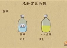 “乐乐课堂”初中化学教学视频素材：《酸和碱》02几种常见的酸