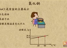 “乐乐课堂”初中化学教学视频素材:《盐 化肥》01氯化钠