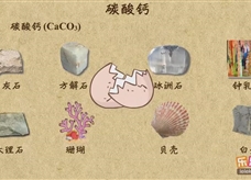 “乐乐课堂”初中化学教学视频素材:《盐 化肥》03碳酸钙