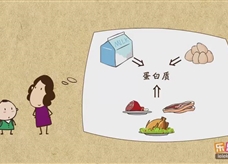 “乐乐课堂”初中化学教学视频素材:《化学与生活》01蛋白质