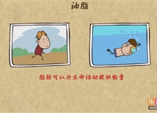 “乐乐课堂”初中化学教学视频素材:《化学与生活》03油脂和维生素