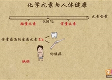 “乐乐课堂”初中化学教学视频素材:《化学与生活》04化学元素与人体健康
