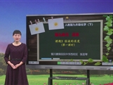 【宁夏线上授课】人教版九年级化学《课题9.3溶液的浓度（第1课时）》教学视频（张苗琴）