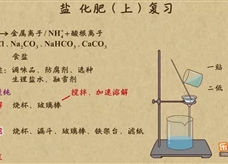 “乐乐课堂”初中化学教学视频素材：《中考化学复习》18盐 化肥（上）